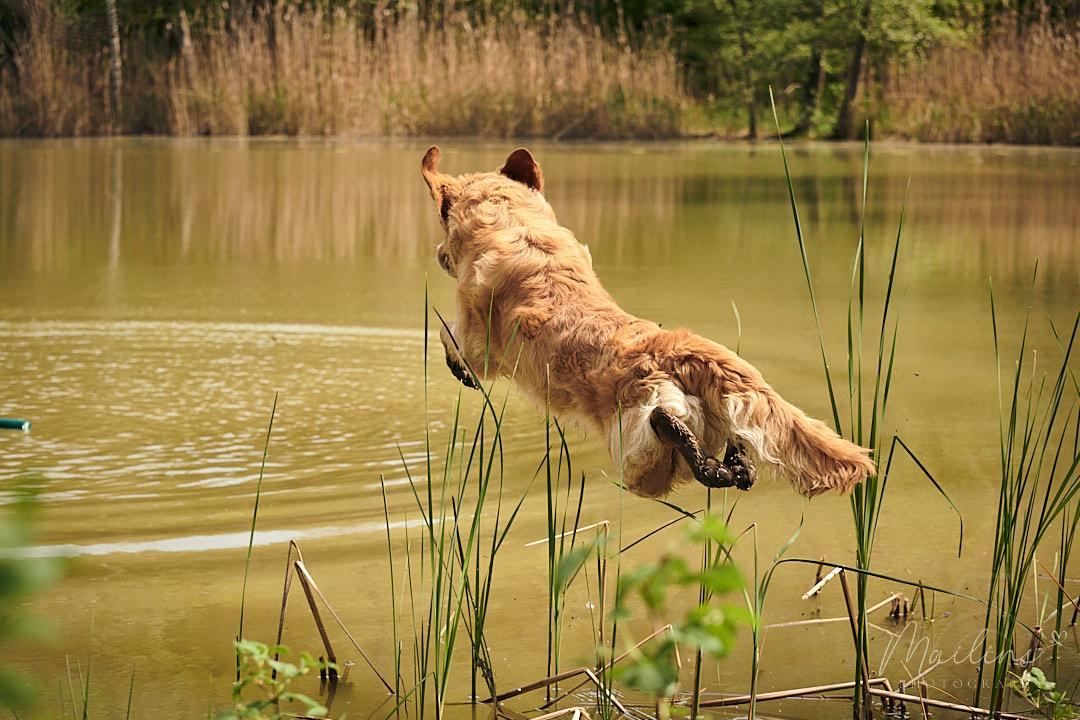 Diving