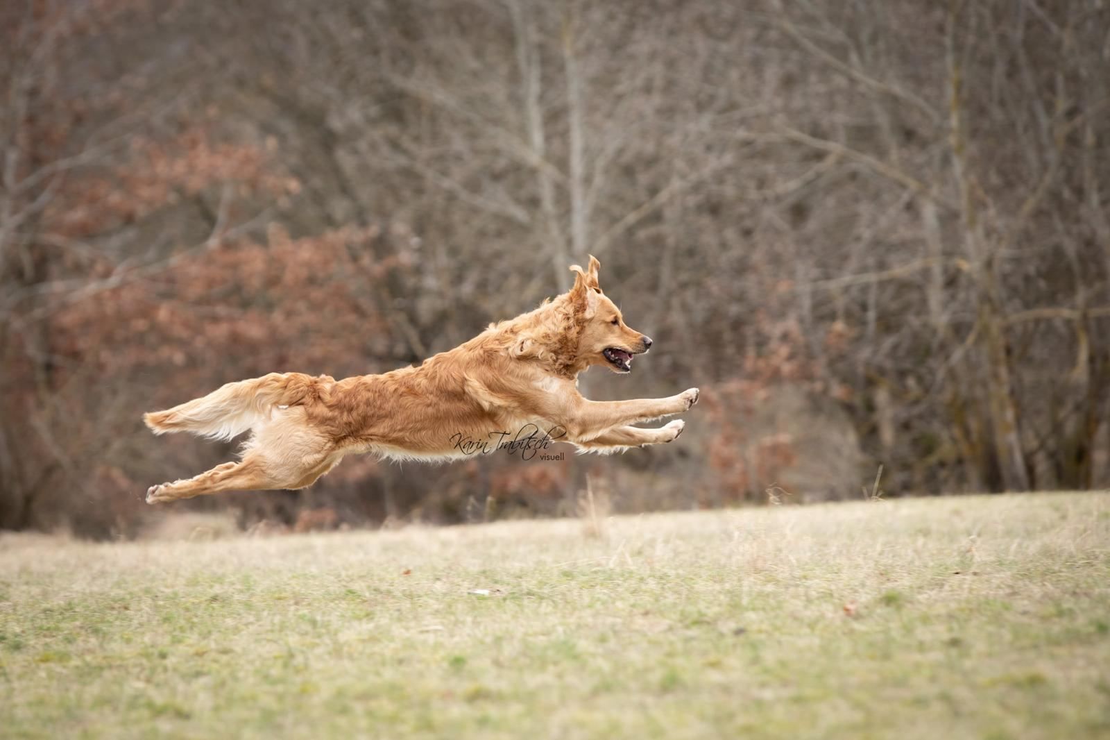 Jumping